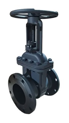 Bronze Seat Cast Iron Gate Valves Heavy Duty Water Gate Valve Featuring Bronze Seat for Superior Sealing and Durability